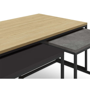 Camellia Coffee Table - Karrari